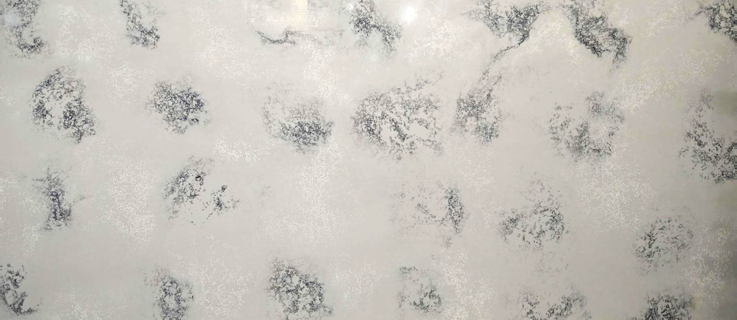 KY9801